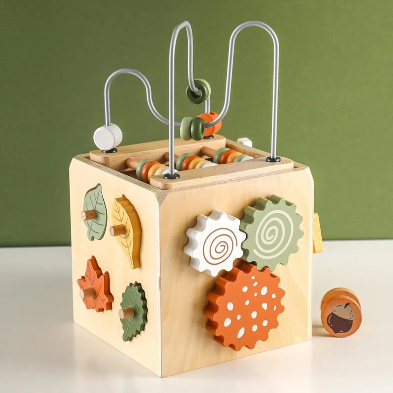 TOPLIVING Wooden Montessori Activity Cube